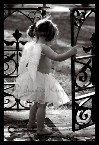 atthegatebykittynn5cd.jpg, 50 KB