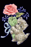 katze_rose_und_augenaufschlag.gif, 10 KB