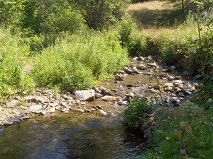 mala reka.jpg,  bytes